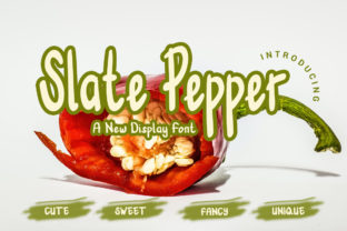 Choosing the Slate Pepper Font for a Cohesive Brand