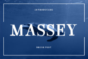 Massey: The Display Font That Makes Campaigns Feel Human