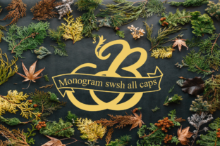 Monogram Swsh: An Elegant Display Font for Digital Branding