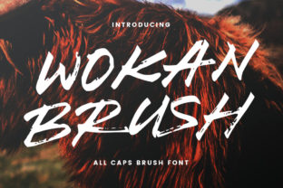 Using Wokan Font for Authentic, Approachable Branding
