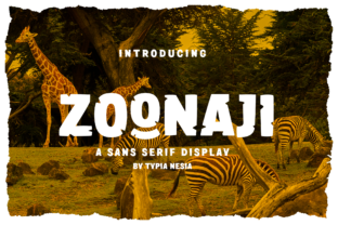 Zoonaji: A Display Font Built for Distinctive Branding
